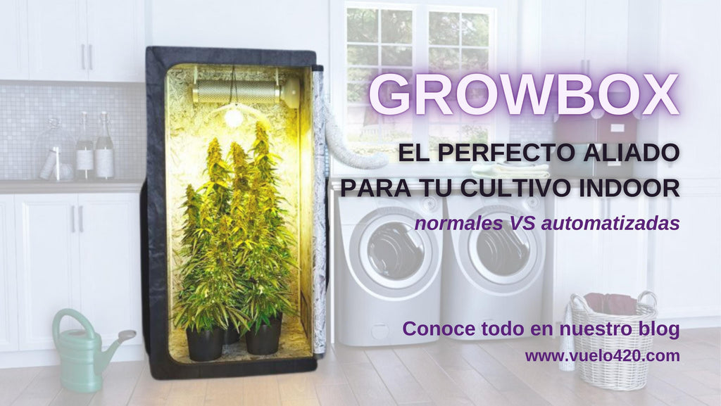 ¿Qué es una GROWBOX?