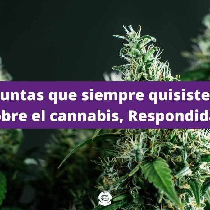6 Preguntas que siempre quisiste hacer sobre el cannabis, Respondidas