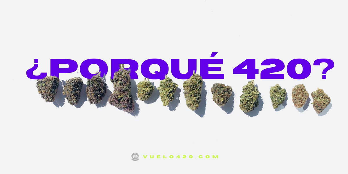 ¿Cómo inició el 420?- Vuelo 420 Smoke Shop Mexico Monterrey