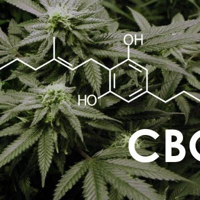 Descubriendo el CBG y sus propiedades terapéuticas- Vuelo 420 Smoke Shop Mexico Monterrey