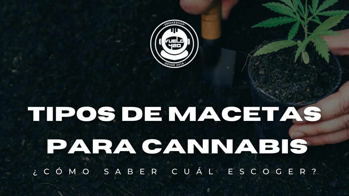 ¿Cuál es la Maceta Perfecta para mis Plantas de Cannabis? Te Explicamos