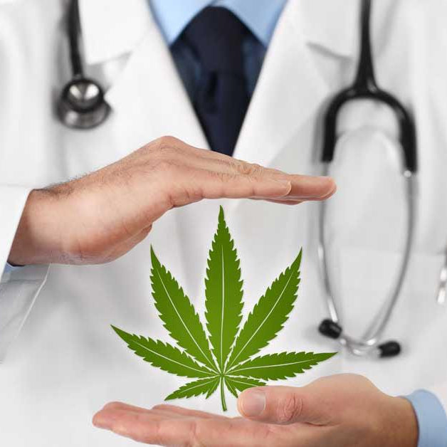 Cosas que no sabías del Cannabis Medicinal- Vuelo 420 Smoke Shop Mexico Monterrey