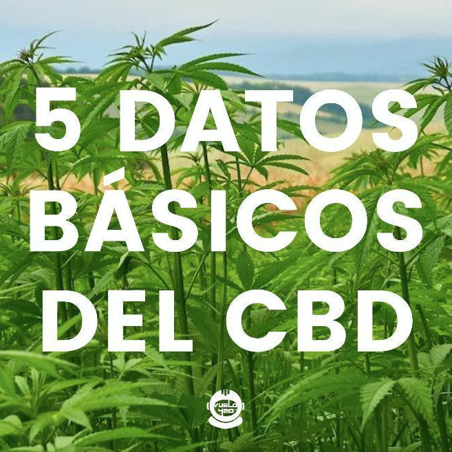 5 DATOS BÁSICOS SOBRE EL CBD- Vuelo 420 Smoke Shop Mexico Monterrey