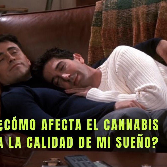 ¿Cómo afecta el cannabis a la calidad del sueño?
