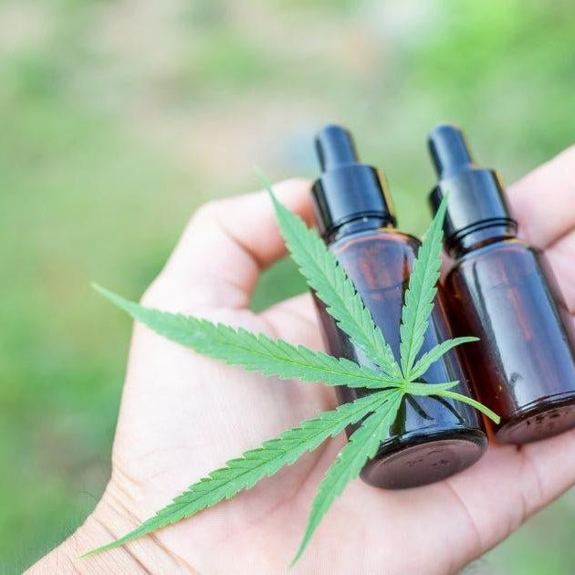 CBD Espectro Completo –  CBD Amplio Espectro - CBD Aislado- Vuelo 420 Smoke Shop Mexico Monterrey