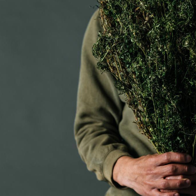 3 SENCILLOS PASOS PARA FUMAR MARIHUANA LEGALMENTE EN MÉXICO- Vuelo 420 Smoke Shop Mexico Monterrey