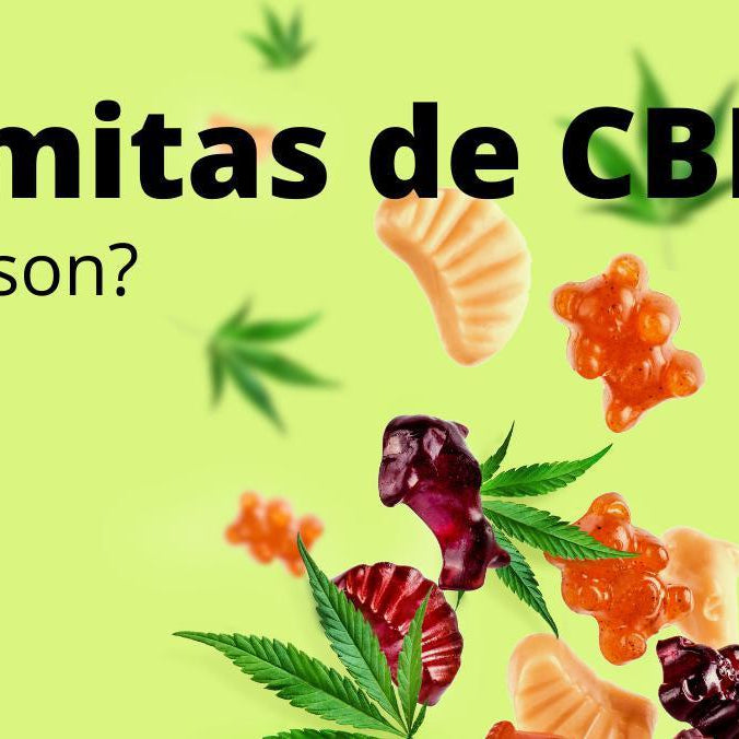 ¿Gomitas de CBD? ¿Qué son? Conoce Todos los Beneficios- Vuelo 420 Smoke Shop Mexico Monterrey
