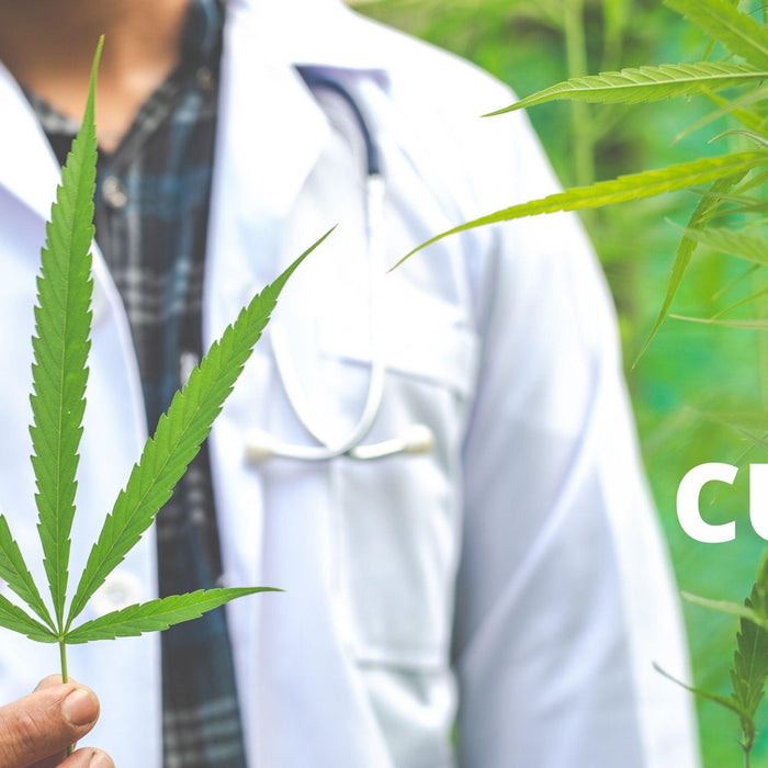 ¿Cuanto tiempo dura el THC en mi cuerpo?- Vuelo 420 Smoke Shop Mexico Monterrey