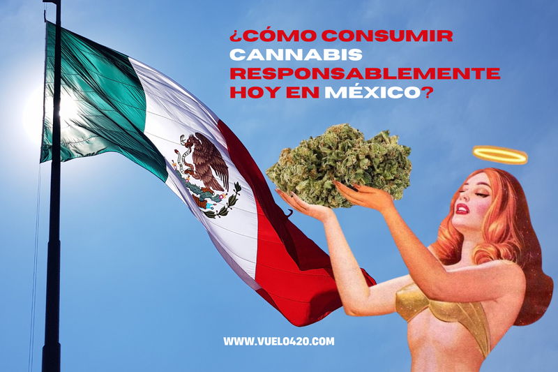 Cannabis en México 2025: lo que nadie te explica (pero deberías saber antes de prender)