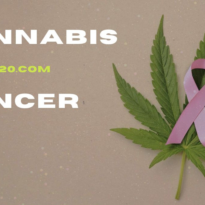 Impacto Positivo del Cannabis en el Cáncer.