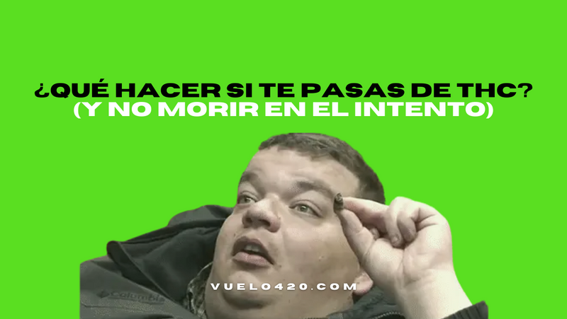 ¿Qué hacer si te pasas de THC? (Y no morir en el intento)