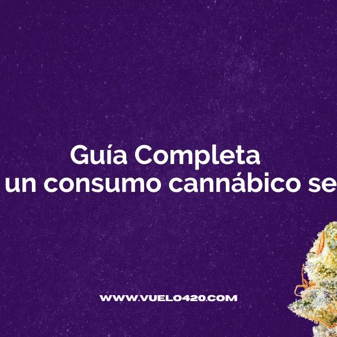 Resistencia al Cannabis: Guía Completa para un consumo Seguro