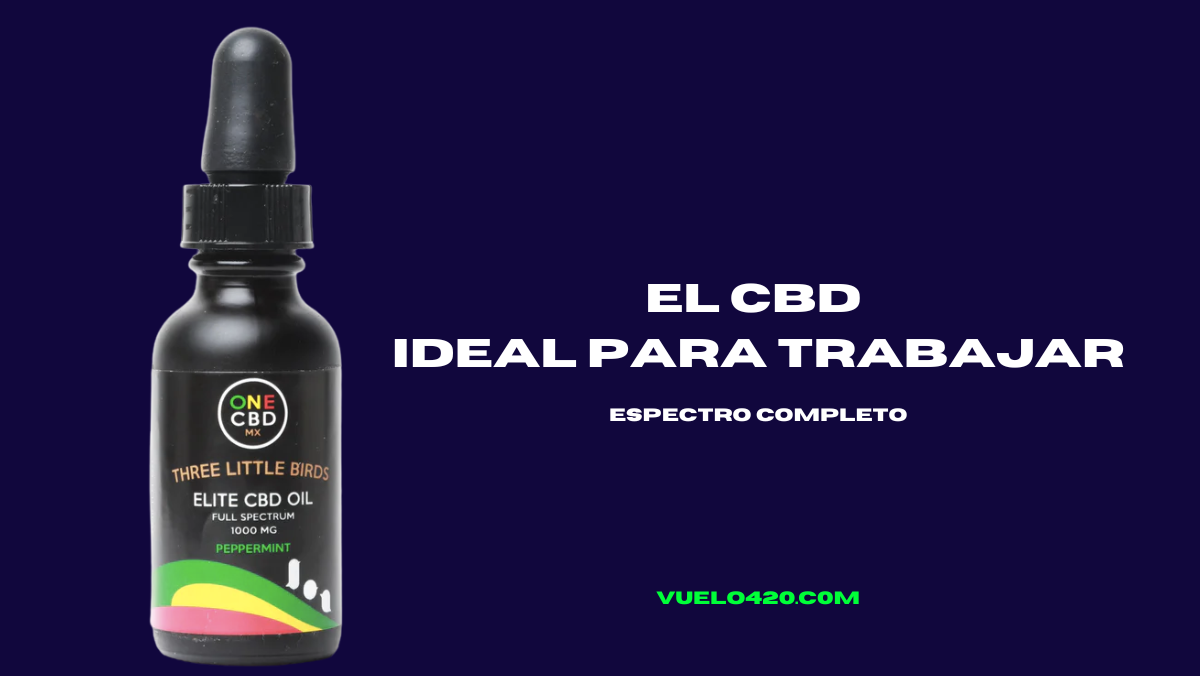 El CBD ideal para el estres laboral