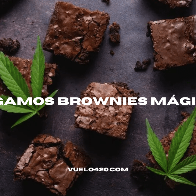 ¿Cómo hacer brownies cannábicos?