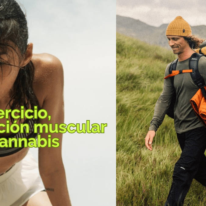 El Impacto Positivo del Cannabis en el Ejercicio y la Recuperación Muscular