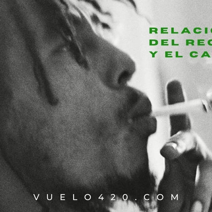 Historia del Reggae y los pachecos