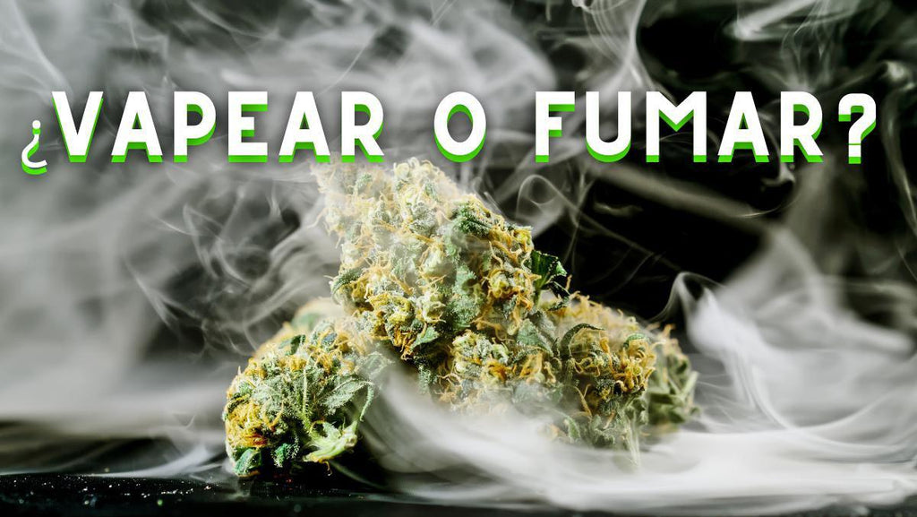 ¿ES MEJOR VAPEAR O FUMAR MARIHUANA? TODO LO QUE NECESITAS SABER