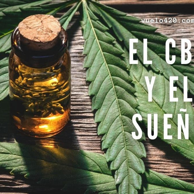 El CBD y el sueño- Vuelo 420 Smoke Shop Mexico Monterrey