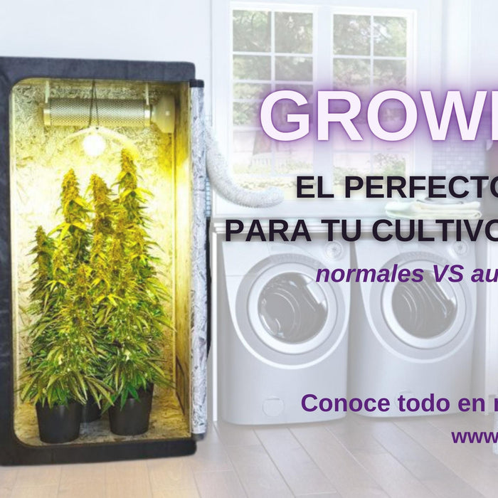 ¿Qué es una GROWBOX?- Vuelo 420 Smoke Shop Mexico Monterrey