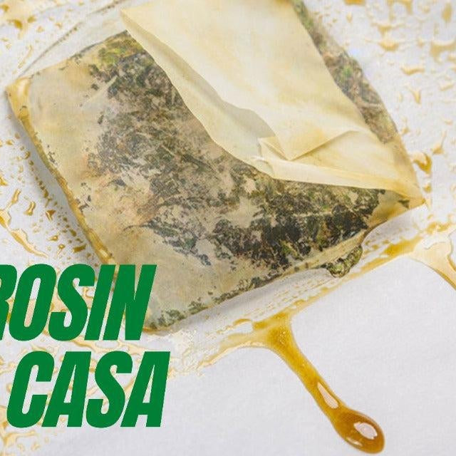 Cómo hacer Rosin Tech casero- Vuelo 420 Smoke Shop Mexico Monterrey