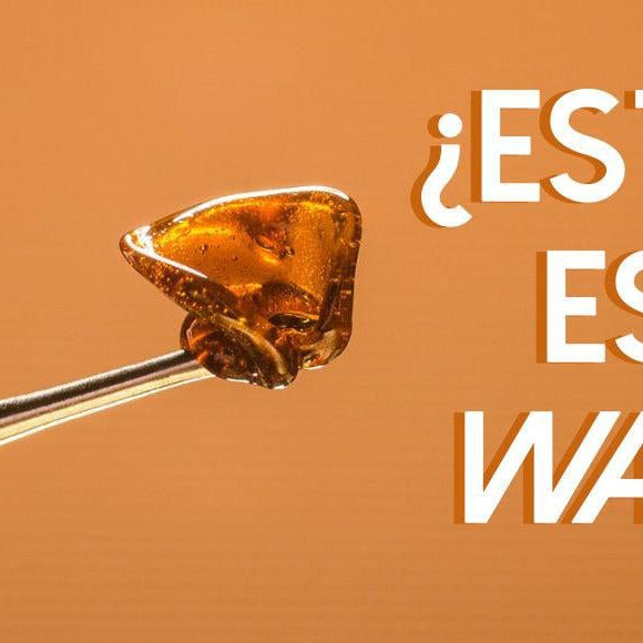 ¿Qué es el wax? ¿Cómo se obtiene? y ¿Cómo la consumo?- Vuelo 420 Smoke Shop Mexico Monterrey