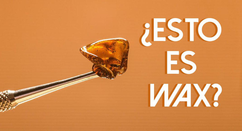 ¿Qué es el wax? ¿Cómo se obtiene? y ¿Cómo la consumo?