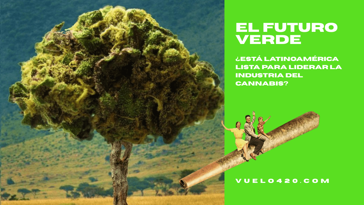 🌍 El futuro verde: ¿Está Latinoamérica lista para liderar la industria del cannabis?