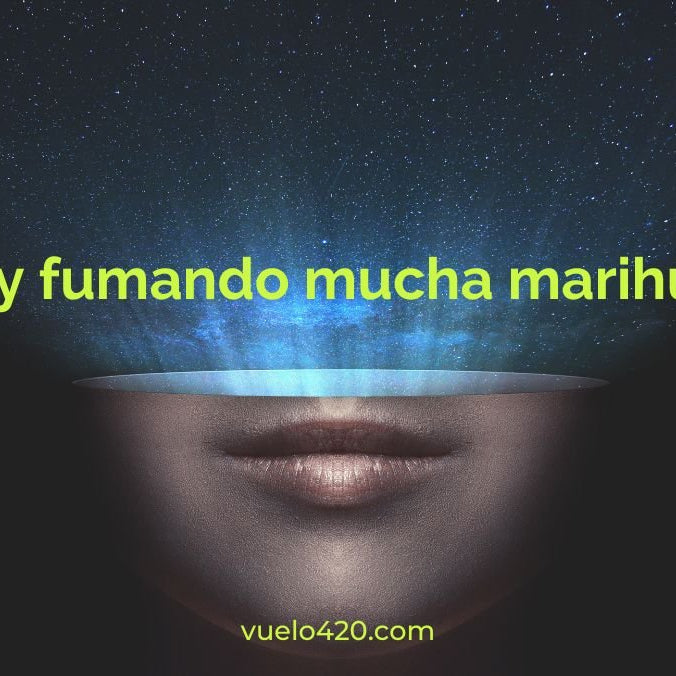 ¿Estoy fumando mucha marihuana?