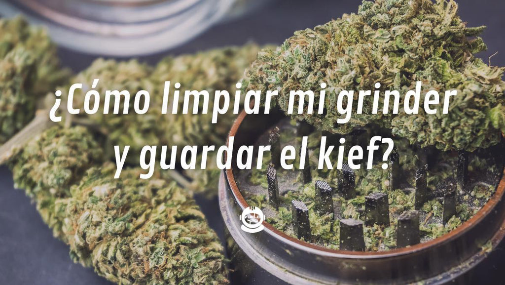 Como limpiar tu grinder y salvar tu kief ¡Fácil y Rápido!