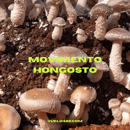 Movimiento Hongosto