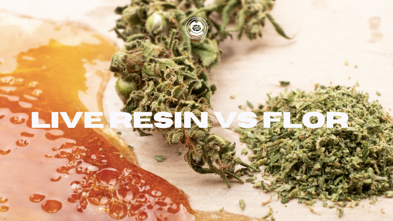 ¿El futuro del cannabis está en los concentrados?